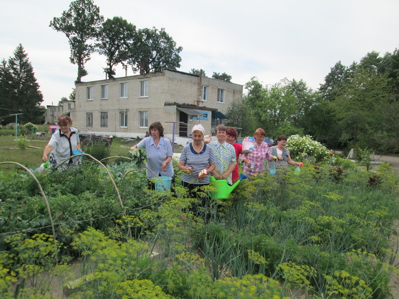 Як народ лечыць агарод