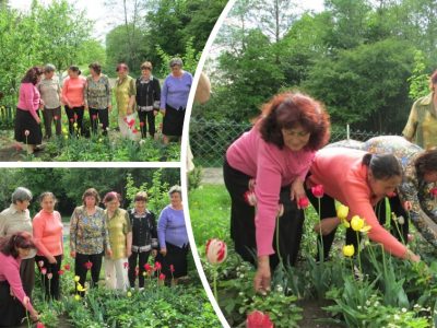 У клубе аматараў кветкаводства і агародніцтва