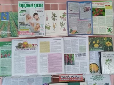 “Зялёная аптэка ў дапамогу здароўю”