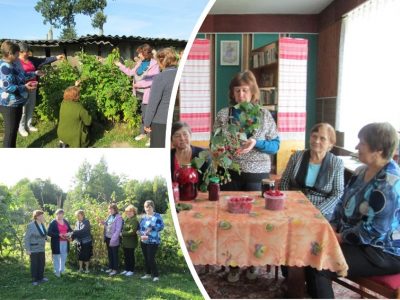 Пра духмяныя травы і смачную маліну
