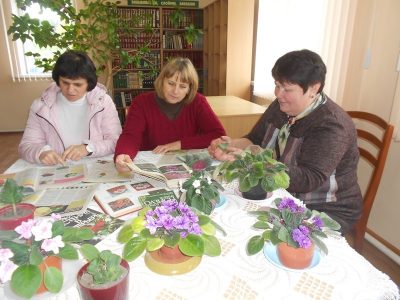 Поделись советом и секретом